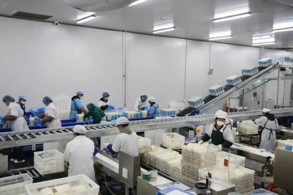 中国股票配资公司排名 南谯区：年产10万吨菌菇生产及加工项目签约落户