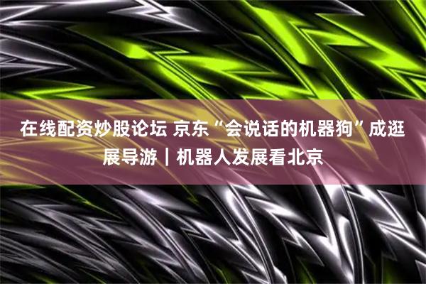 在线配资炒股论坛 京东“会说话的机器狗”成逛展导游｜机器人发展看北京