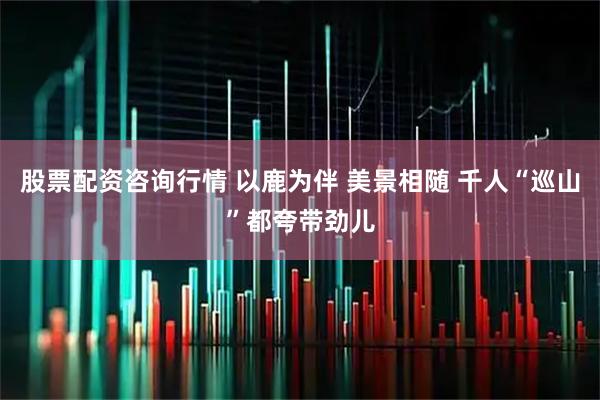 股票配资咨询行情 以鹿为伴 美景相随 千人“巡山”都夸带劲儿