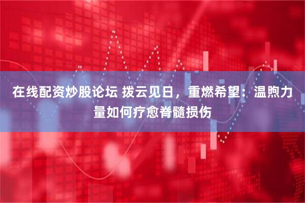 在线配资炒股论坛 拨云见日，重燃希望：温煦力量如何疗愈脊髓损伤