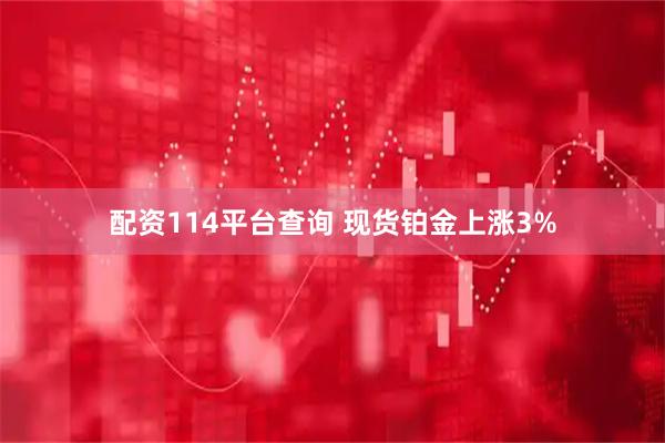 配资114平台查询 现货铂金上涨3%