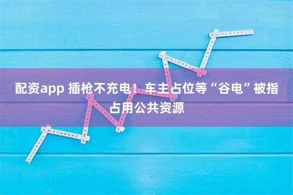 配资app 插枪不充电！车主占位等“谷电”被指占用公共资源